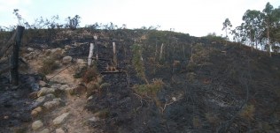 Espectacular incendio en el monte Orza de Los Corrales