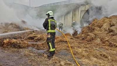 Incendio provocado bajo la Autovía de la Meseta en Molledo