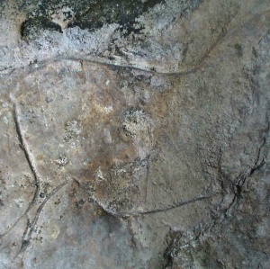 Uno de los grabados de la cueva de Tarriba