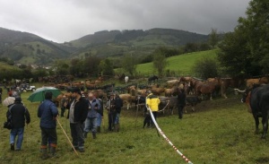 Anievas prepara para este domingo su cuarta feria de ganado
