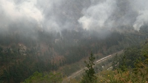 Incendio en Monte Brazo