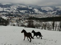 150204-nevada-comarca-66-caballos-la-cuesta-lobao