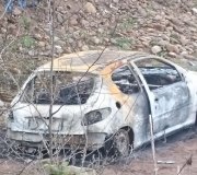 170313-coches-quemados-Peugeot-206-pedreguera