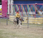 170910-carrera-caballos-molledo-003