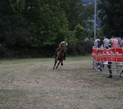 170910-carrera-caballos-molledo-020
