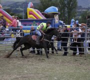 170910-carrera-caballos-molledo-029
