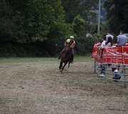 170910-carrera-caballos-molledo-030