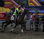 170910-carrera-caballos-molledo-047