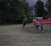 170910-carrera-caballos-molledo-051