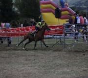 170910-carrera-caballos-molledo-052