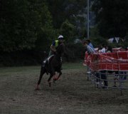 170910-carrera-caballos-molledo-057