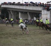 170910-carrera-caballos-molledo-062