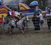 170910-carrera-caballos-molledo-064