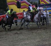 170910-carrera-caballos-molledo-065