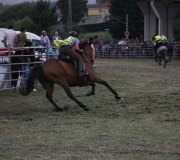 170910-carrera-caballos-molledo-072
