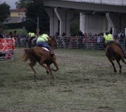 170910-carrera-caballos-molledo-073