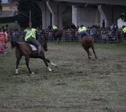 170910-carrera-caballos-molledo-074