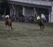 170910-carrera-caballos-molledo-080