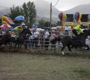 170910-carrera-caballos-molledo-083