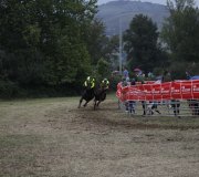170910-carrera-caballos-molledo-090