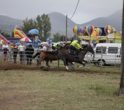 170910-carrera-caballos-molledo-091