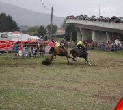 170910-carrera-caballos-molledo-092