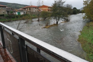 El Gobierno de Cantabria pone en marcha una nueva campaña de voluntariado del Proyecto Ríos