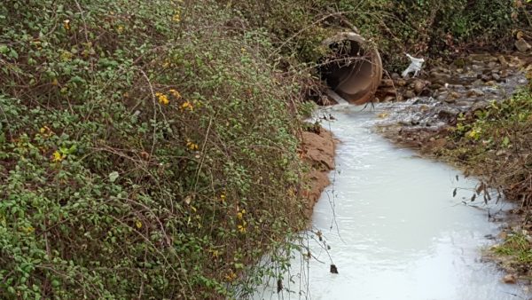 Vertido en el río Tejas