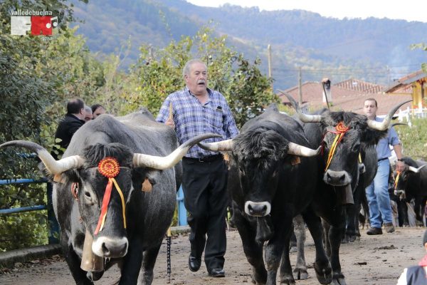 Feria de Ganado de Cieza 2018