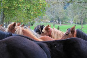 Fotografía ganadora.