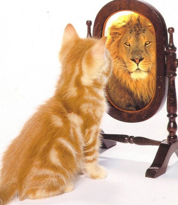 Coaching en Buena Onda VII. Eres diferente, sácale partido