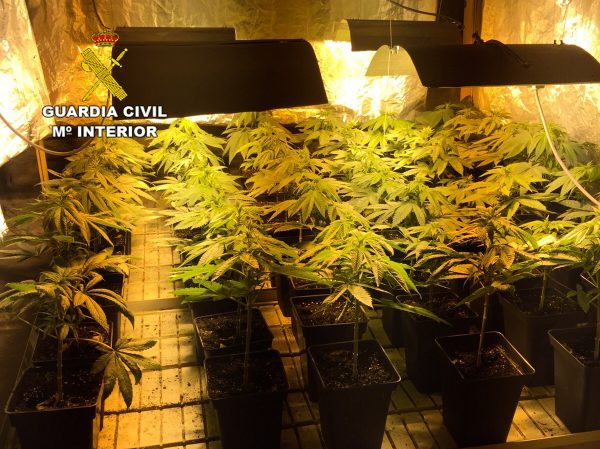 La Guardia Civil desarticula un punto de distribución de marihuana en Los Corrales de Buelna