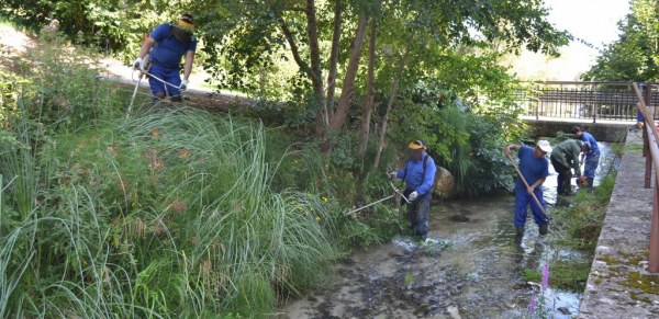 Una decena de personas acondicionan el cauce y la ribera del Muriago