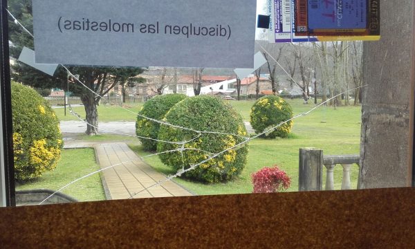 Se han visto afectados los cristales de las oficinas de Servicios Sociales