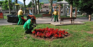 Participará personal del Serca