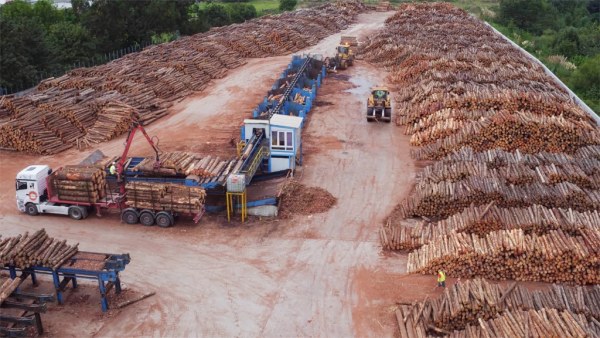 Una empresa maderera es una de las últimas damnificadas