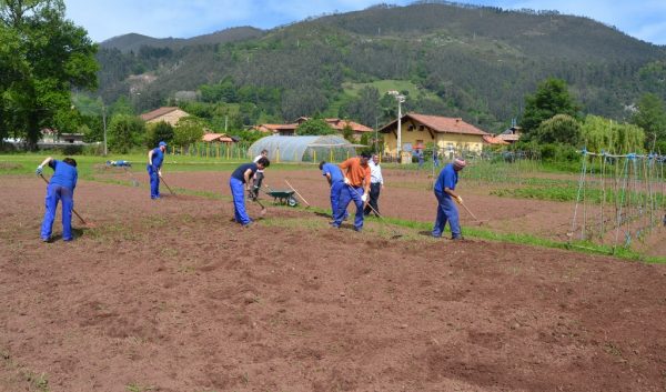 El terreno ya fue utilizado en 2014 para un proyecto de formación de parados
