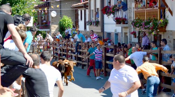 Tradicionales encierros en Pie de Concha