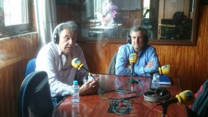 Los apicultores siguen alertando sobre la avispa invasora