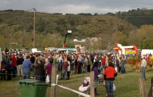 Éxito en la feria ganadera de Arenas