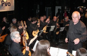 Pulso y Púa Fresneda