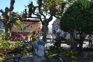 La Concejalía de Servicios redobla el plan de limpieza de calles