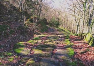 Imagen de la calzada romana a su paso por Bárcena