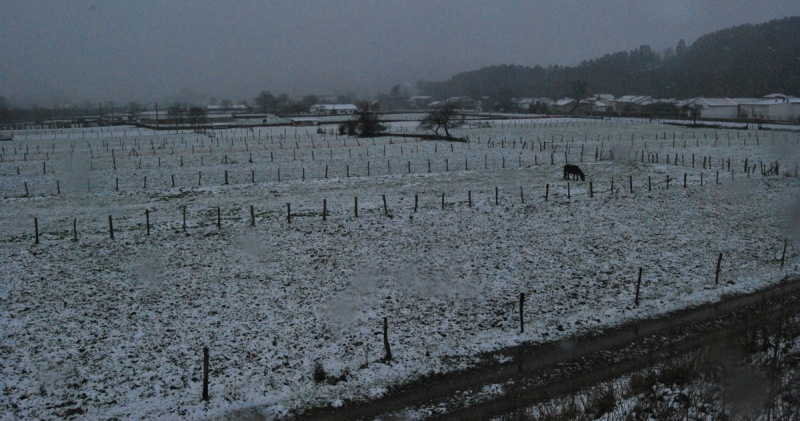 Aspecto del campo en el Valle de Iguña