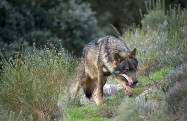 Imagen del portal www.agroinformacion.com