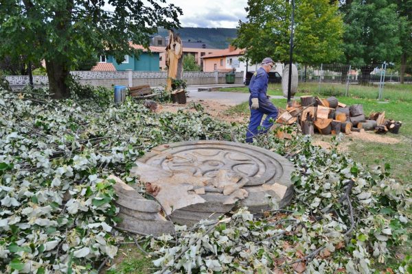 Un árbol podrido no pudo aguantar las ráfagas de viento y cayó sobre la piedra, rompiéndola en varios fragmentos