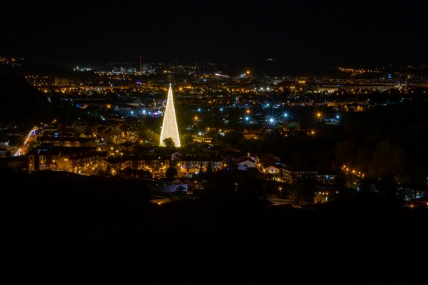 Cartes se queda sin su árbol de Navidad