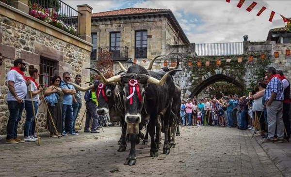 Este año no habrá &#039;pasá&#039; tudanca en Cartes