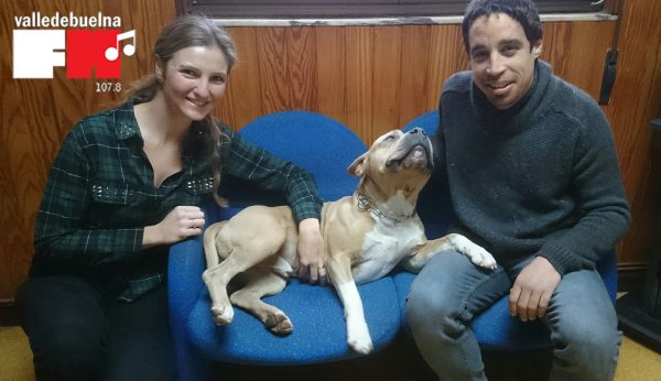Educar desde cachorros y también siendo adultos.