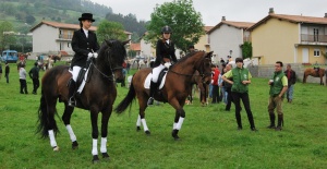 Muy buenos ejemplares, algunos llegados de Coo, en Tarriba